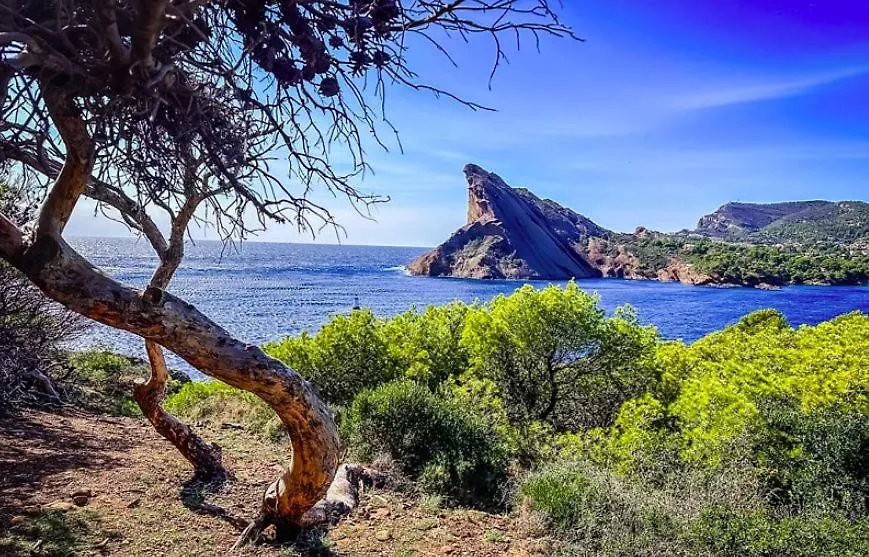 Joli Appartement Sur Le Port Proche Des Plages ! La Ciotat 0*,